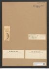 Orthoneis fimbriata (Ehr.) Grun. (de-Toni-Nr.: Genus 41, Species 1907) Zeichnungen Sammlung Grunow Nr. 3783 (NHMW-BOT-W0371454)